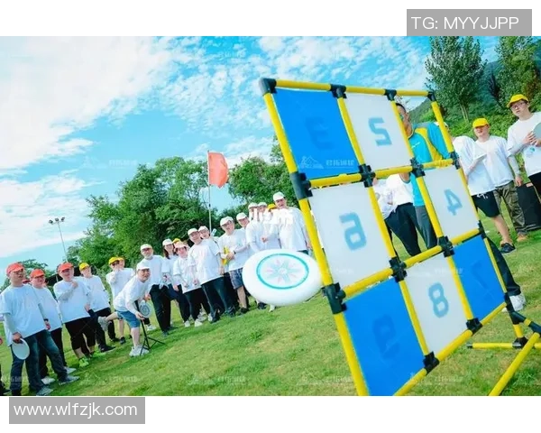 武汉飞盘队技术解析：从基础到进阶的全面探讨与实战技巧分享